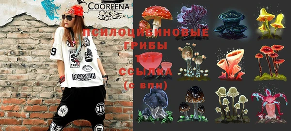 тгк Алексин