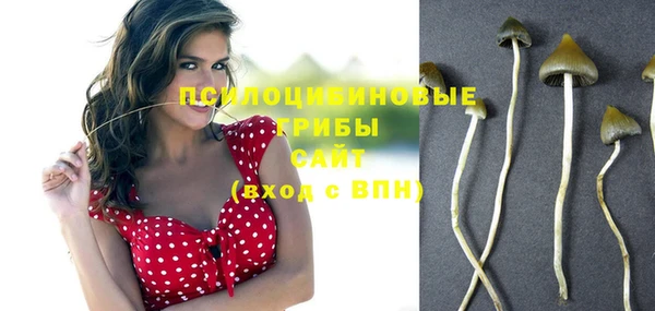 тгк Алексин